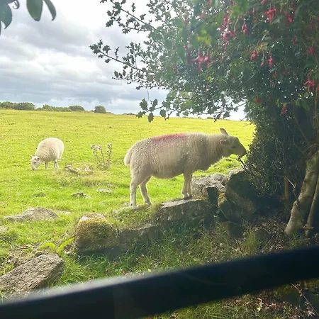 Hallagenna * Bodmin